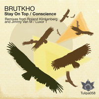 Brutkho - Stay On Top / Conscience