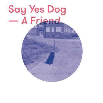 Say Yes Dog - A Friend