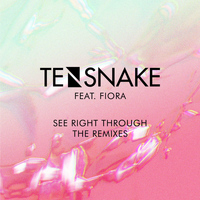 Tensnake - See Right Through (Remixes)