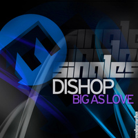 Dishop - Big As Love
