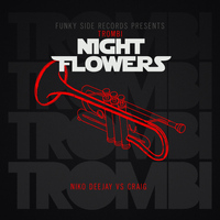 Night Flowers - Trombi (Abel Ray Remix)