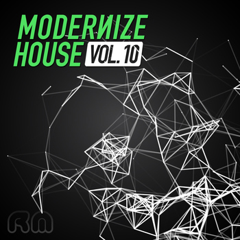 Various Artists - Modernize House, Vol. 10