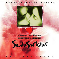 Metin Özülkü - Sevda Şarkıları Enstrumental (Gitardan Kalbe)