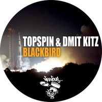 Topspin, Dmit Kitz - Blackbird