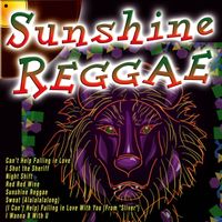 The Rasta Boys - Sunshine Reggae