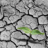 Harlem - Przebudzenie