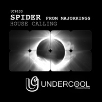 Spider from Majorkings - House Calling
