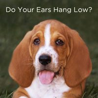 Tumble Tots - Do Your Ears Hang Low? 20 Silly Action Songs for Kids