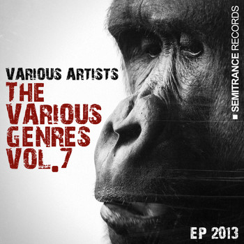 Various Artists - The Various Genres, Vol. 7 (Ep 2013)