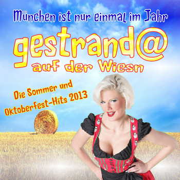 Various Artists - München ist nur einmal im Jahr: Gestrandet auf der Wiesn (Die Sommer und Oktoberfest-Hits 2013)