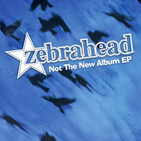 zebrahead - Not the New Album EP