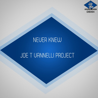 Joe T Vannelli Project - Never Knew