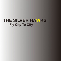The Silver Hawks - Fly City to City