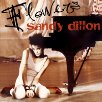 Sandy Dillon - Flowers