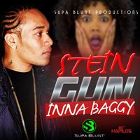 Stein - Gun Inna Baggy - Single