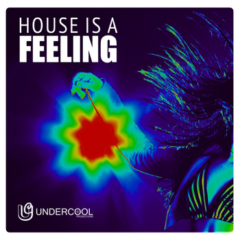 Various Artists - Undercool presents House Is A Feeling