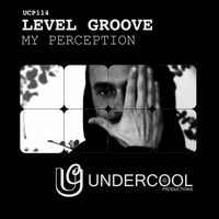 Level Groove - My Perception