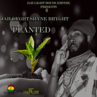 Jah Lyght Shyne Bryght - Planted - Single