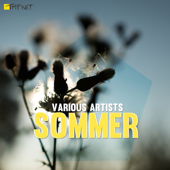 Various Artists - Sommer