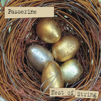 Passerine - Nest Of String