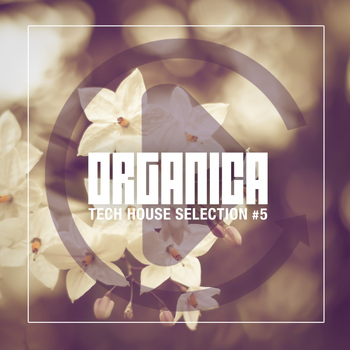 Various Artists - Organica, Vol. 5