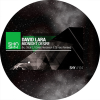 David Lara - Midnight Desire (Remixes)