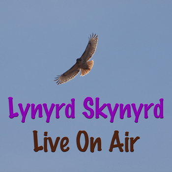 Lynyrd Skynyrd - Lynyrd Skynyrd Live On Air