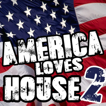 Various Artists - America Loves House 2