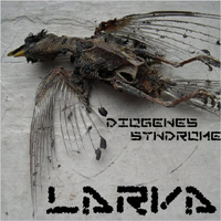 Larva - Diogenes Syndrome
