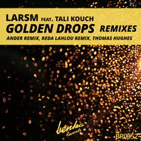 LarsM Feat. Tali Kouch - Golden Drops Remixes