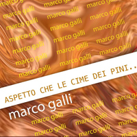 Marco Galli - Aspetto che le cime dei pini si colorino