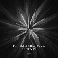 Pierre Delort, Remy Maurin - Urchin EP
