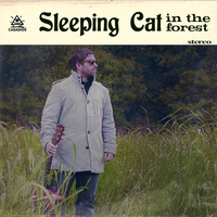 Sleeping Cat - In the Forest