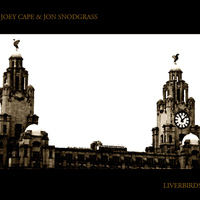 Joey Cape - To All My Friends (Liverbirds Album Acoustic Version)