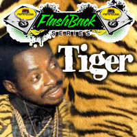 Tiger - Penthouse Flashback Series: Tiger