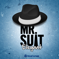 Mr. Suit - Elegant