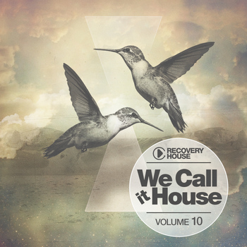 Various Artists - We Call It House, Vol. 10