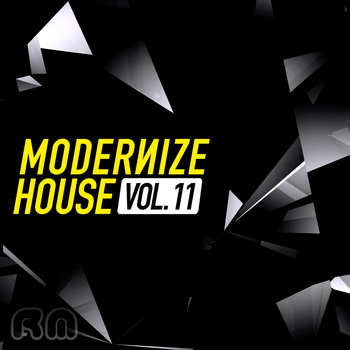 Various Artists - Modernize House, Vol. 11