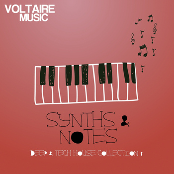 Various Artists - Synths and Notes 8.0