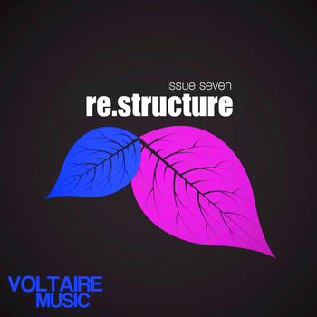 Various Artists - re:structure Issue Seven