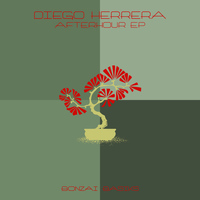 Diego Herrera - Afterhour EP