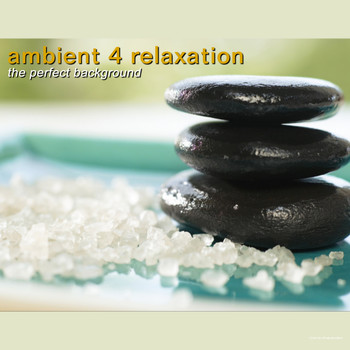 Various Artists - Ambient 4 Relaxation the Perfect Background