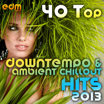 Various Artists - 40 Top Downtempo & Ambient Chillout Hits 2013 (Best Of Psybient, Lounge, World, TripHop, Dub & Bass)