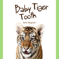 Salim Meghani - Baby Tiger Tooth