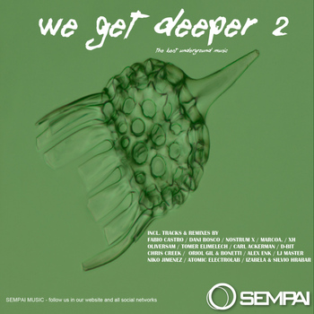 Various Artists - We Get Deeper 2