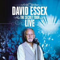 David Essex - The Secret Tour (Live)