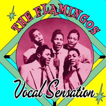 The Flamingos - Vocal Sensation