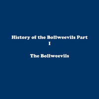 The Bollweevils - History of the Bollweevils Part I