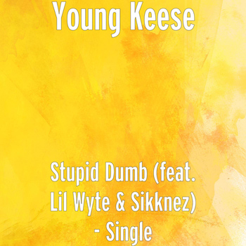 Lil Wyte - Stupid Dumb (feat. Lil Wyte & Sikknez)