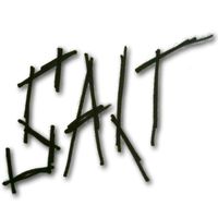 R. Ring - Salt (feat. Kelley Deal & Mike Montgomery)